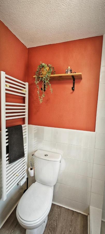 Studio Cosy Le Malicieux Saint-Lary-Soulan Εξωτερικό φωτογραφία